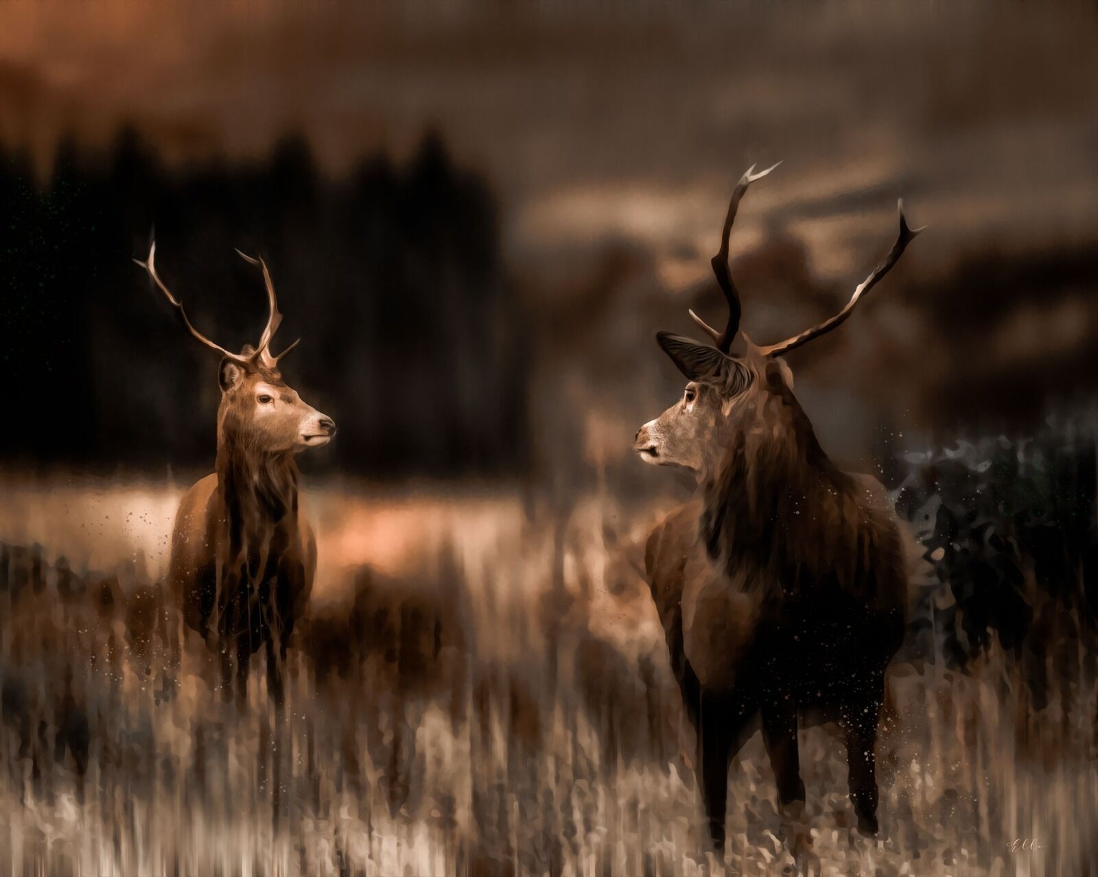 Stags of Scotland