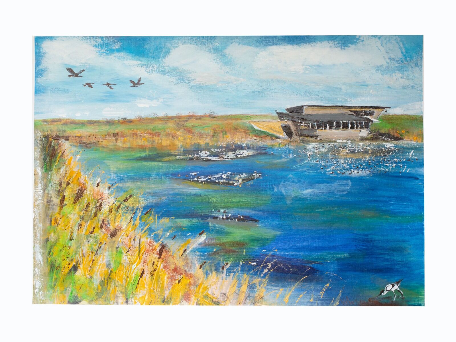 Nature Reserve hide