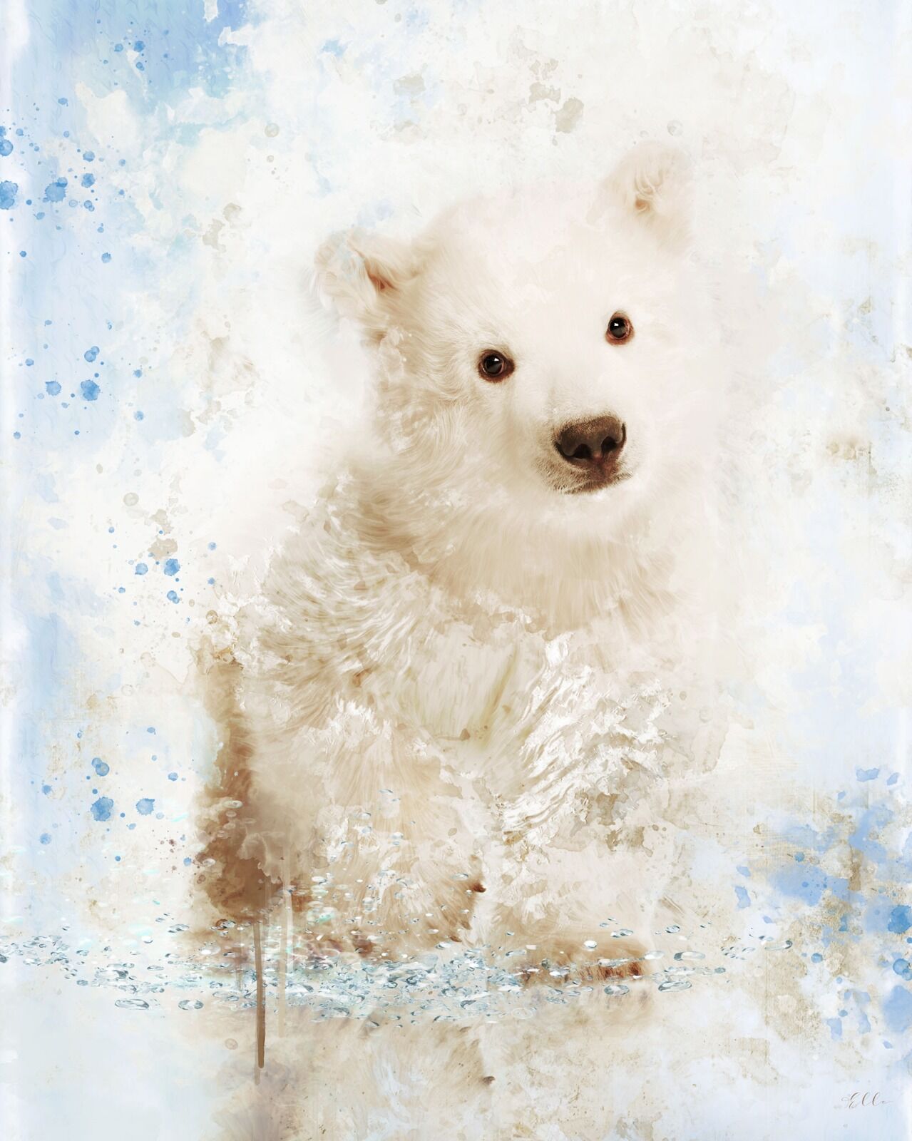 Bear cub