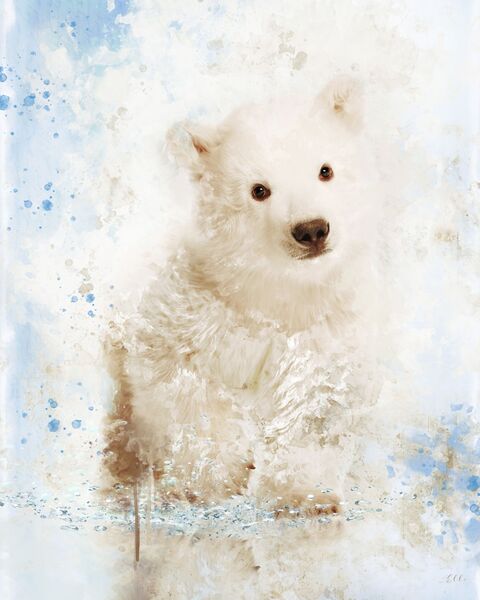 Bear cub