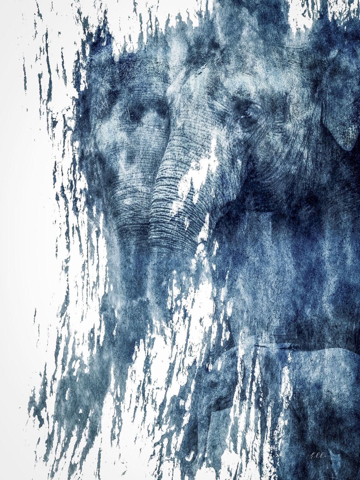 Pale blue mountains