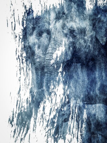 Elephant abstract Pale blue mountains