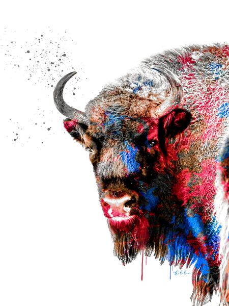 Abstract Buffalo