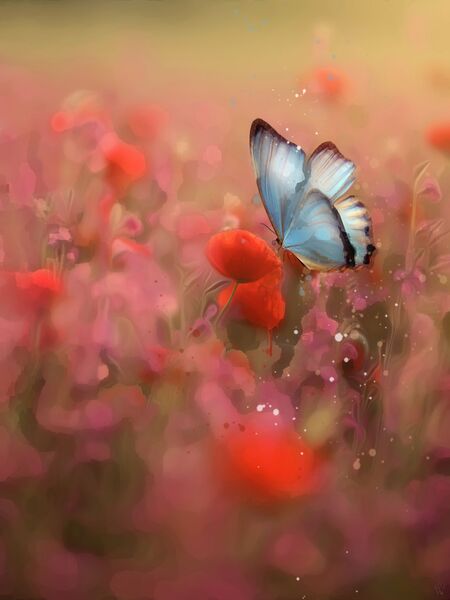 Flutterby - Mixed Art Effect