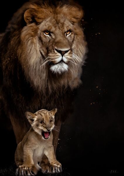 Little roar