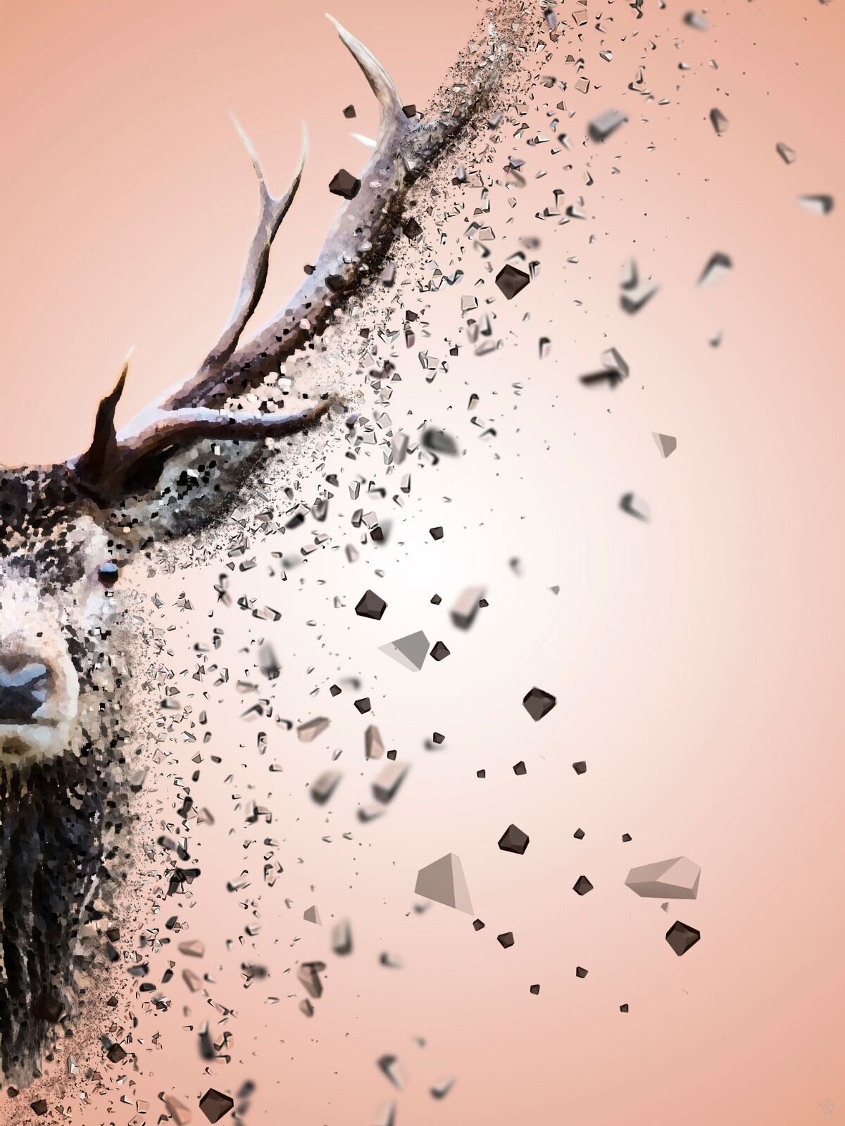 Stag - Dispersion Effect