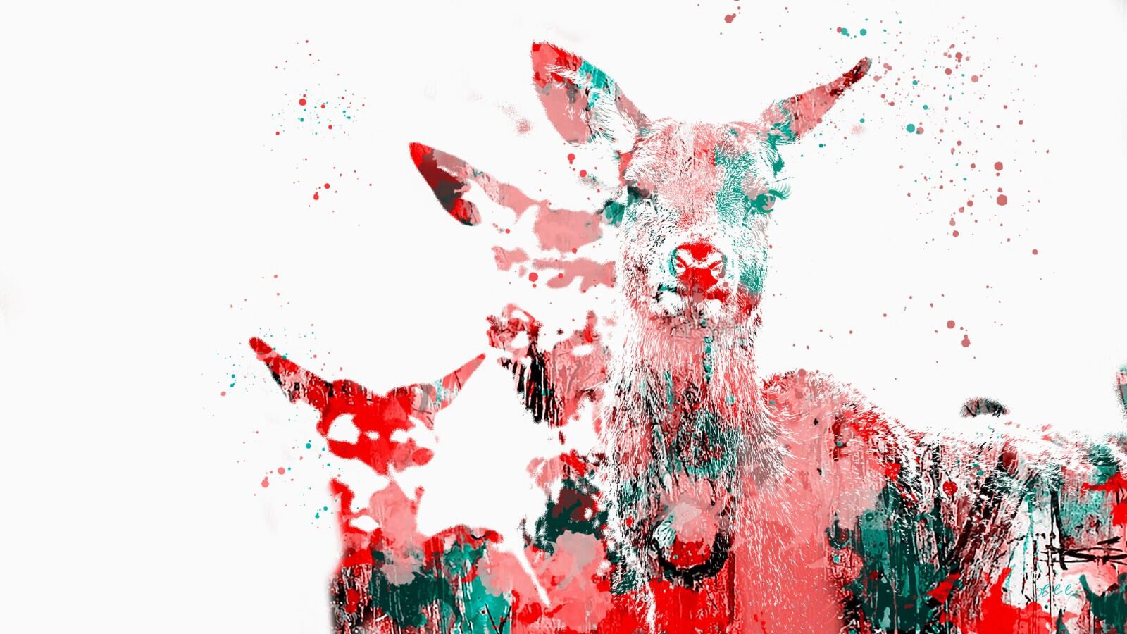 Doe a deer