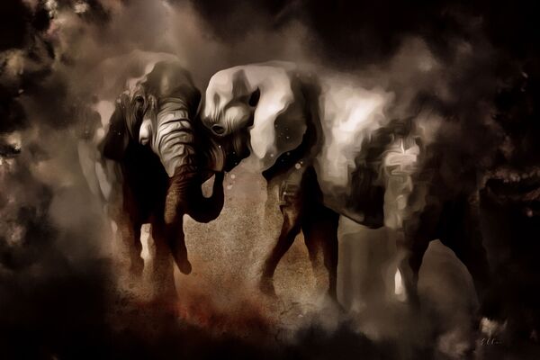 Elephant love