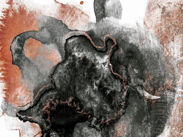 Elephant abstract grey & gold