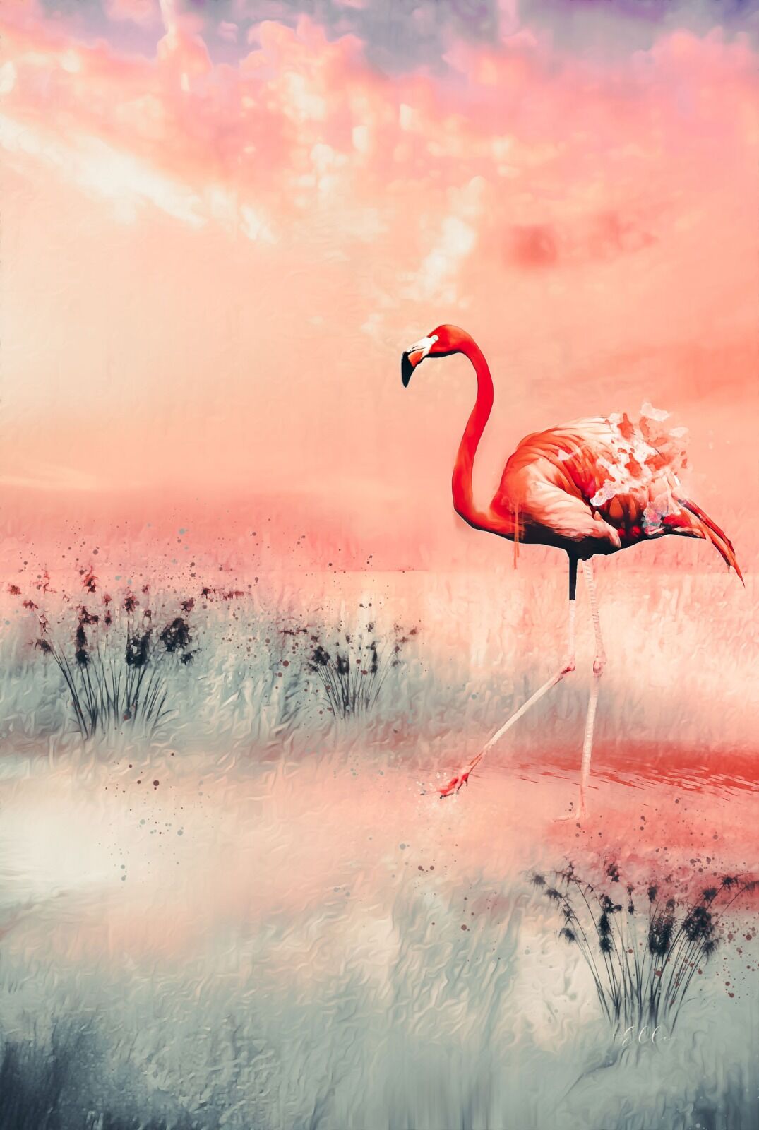 Hot pink Flamingo