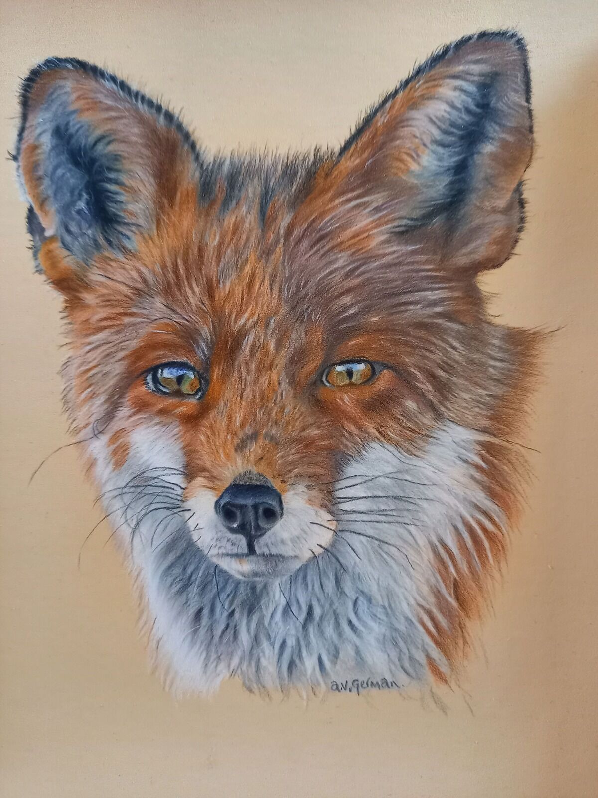 The Fox