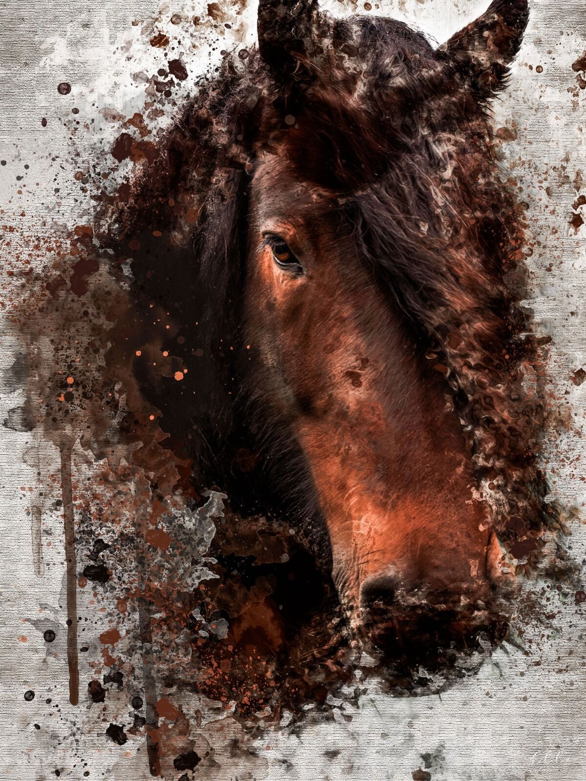 The Stallion