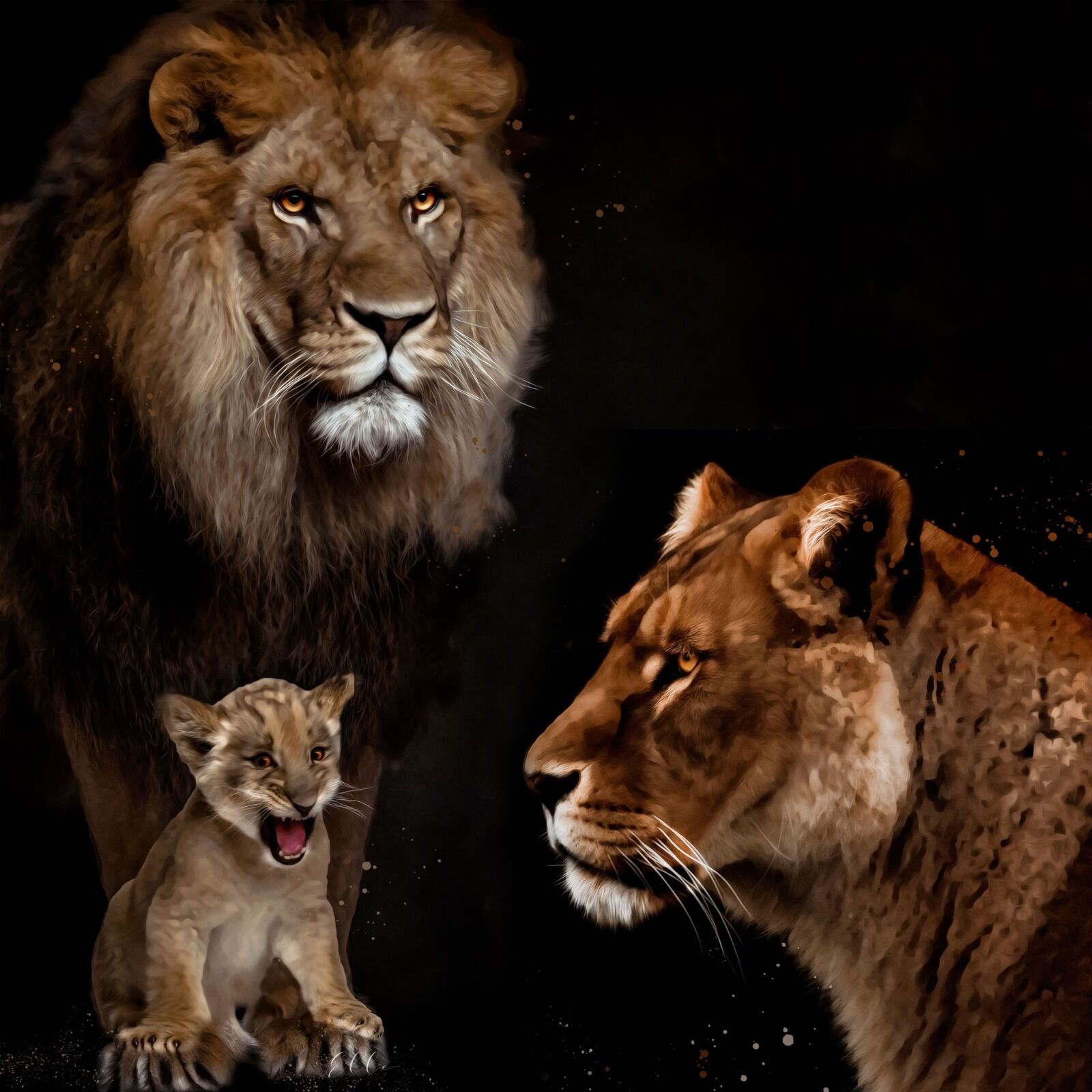The Pride