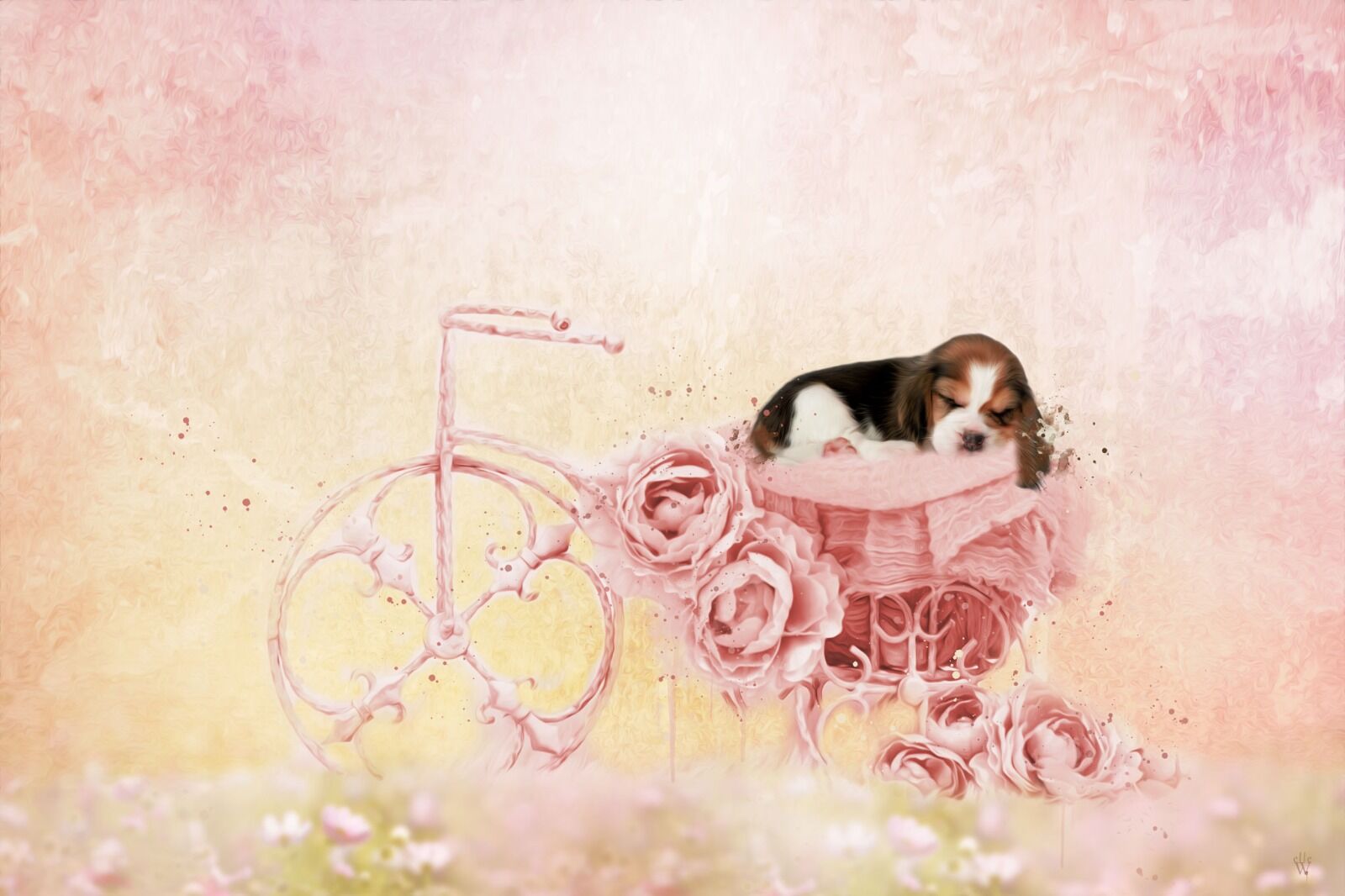 Sleeping Puppy- Mixed Art Effect