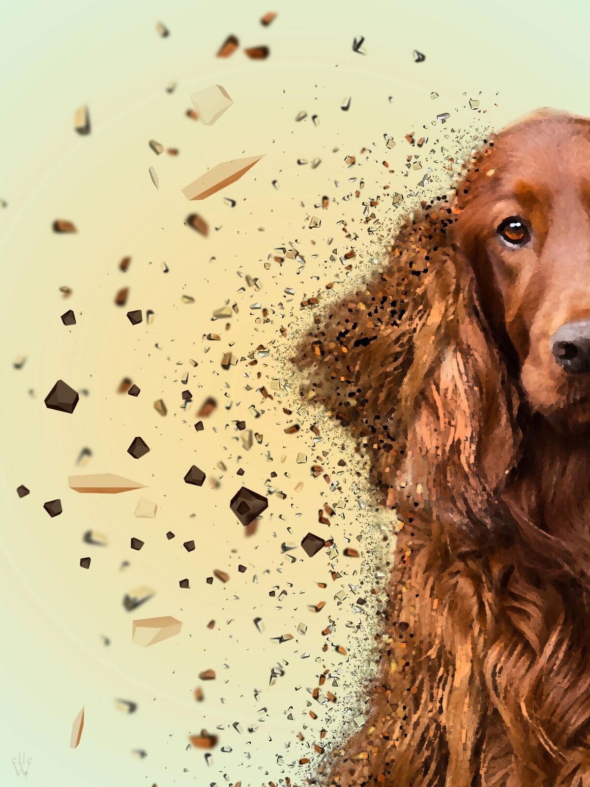 Red setter dog - Dispersion Effect