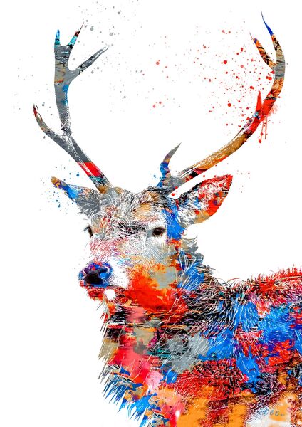 Abstract Stag