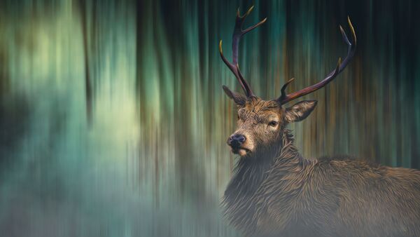 Stag in the forest - Mixed Art Effect