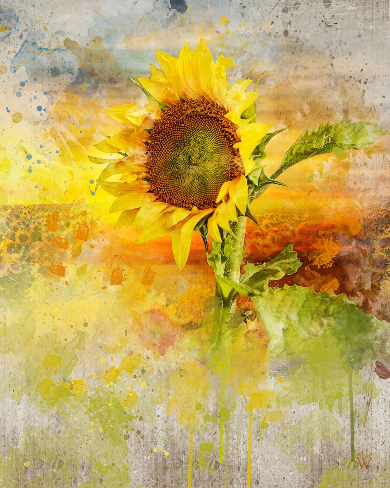 Sunflower - Mixed Art Effect