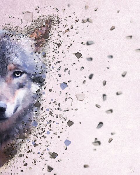 Wolf - Dispersion Effect