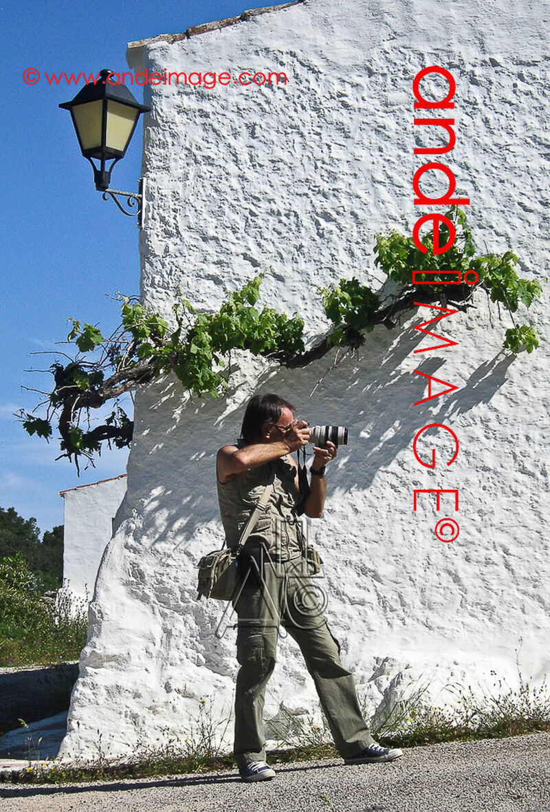 photographer