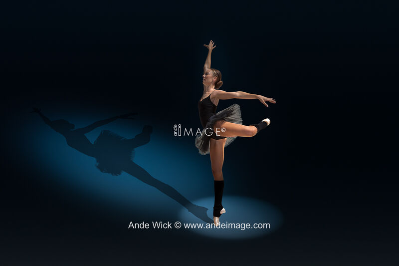 Ballerina Spotlight