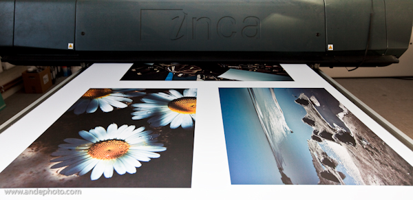 Display Board Print 87L