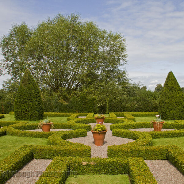 The Knot Garden