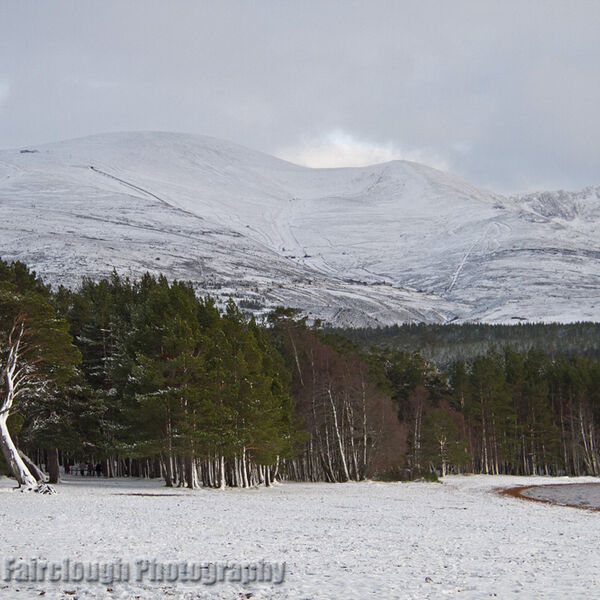 Loch Morlich