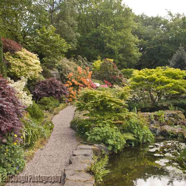 Streamside Walk at Lea Gardens