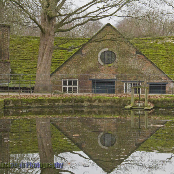 Winter Reflections
