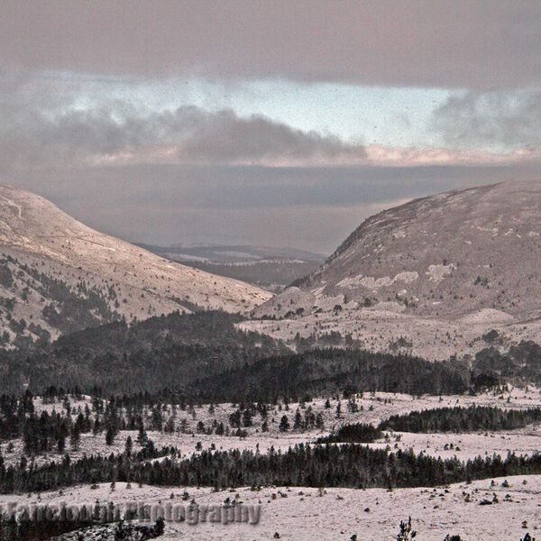 Cairngorm Views