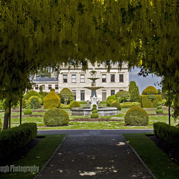 Laburnum Arch at Brodsworth Hall