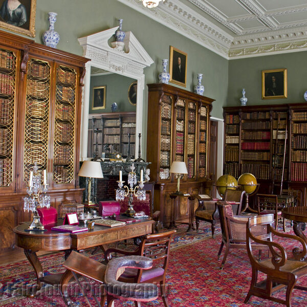 The Library