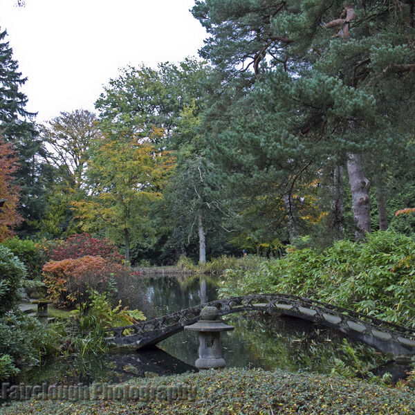 The Almond Eye Bridge at Tatton Park