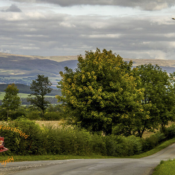 Panoramic View with the Fells of The Lake District National Park in the Background.