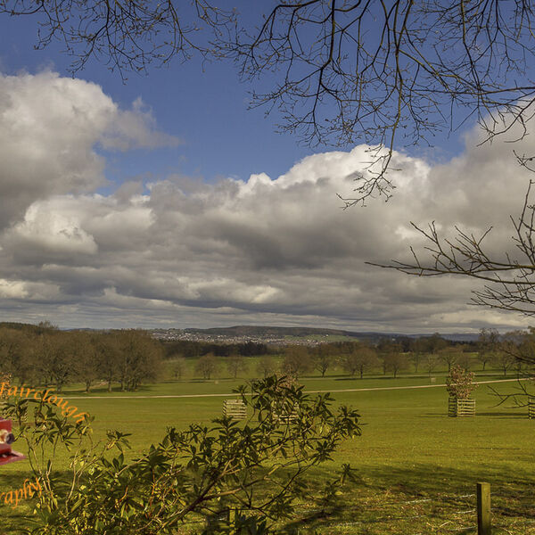 Lakeland Landscape - Cumbria