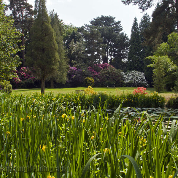 The Grounds of Tatton Park in Springtime