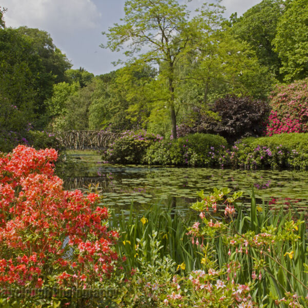 The Grounds of Tatton Park in Springtime