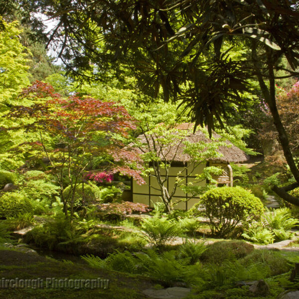 Japanese tea house and garden in Summer