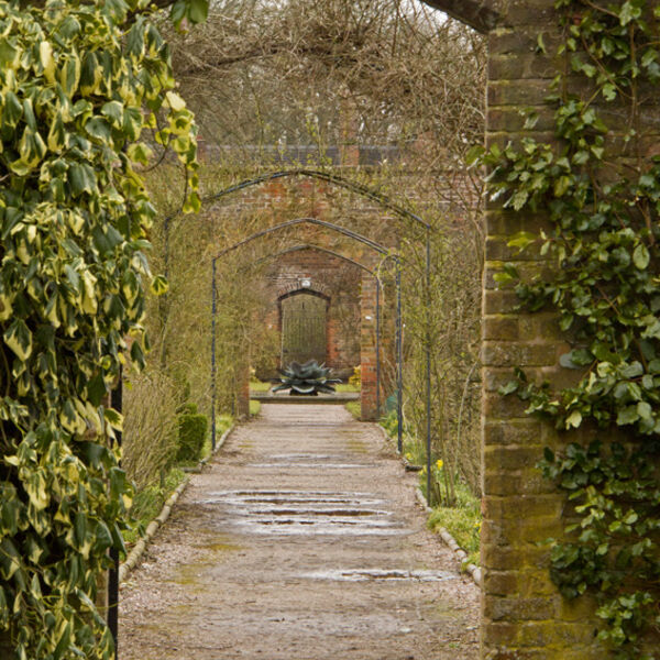 Looking across the Kitchen Garden into the Walled Garden