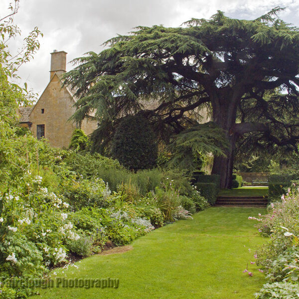 The Old Garden - Hidcote