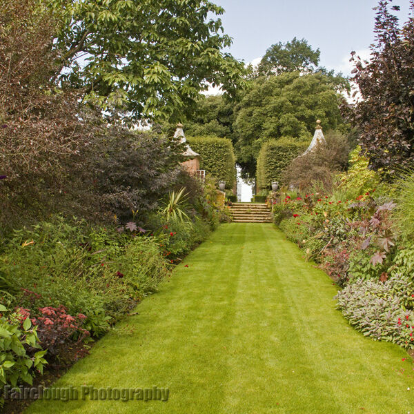 The red border - Hidcote