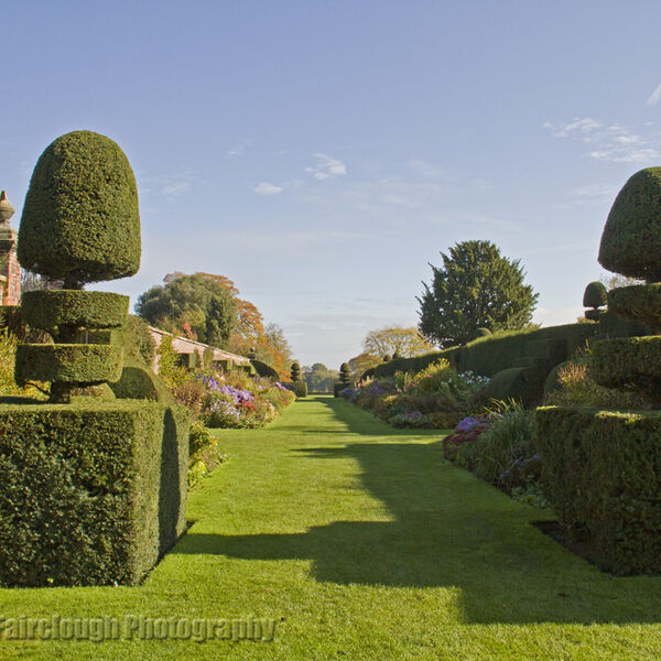 The Herbaceous Border
