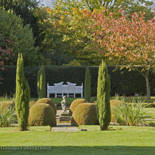 The Fish Pond Garden