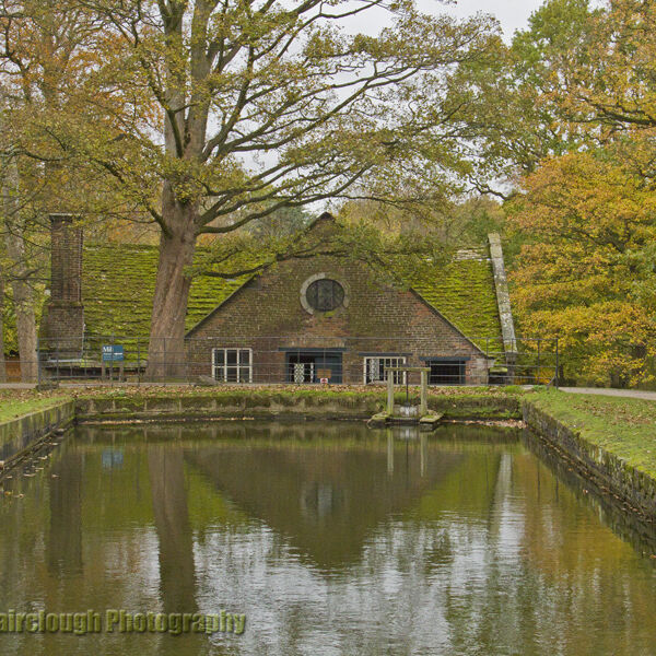 The Mill Pond and Mill in Autumn