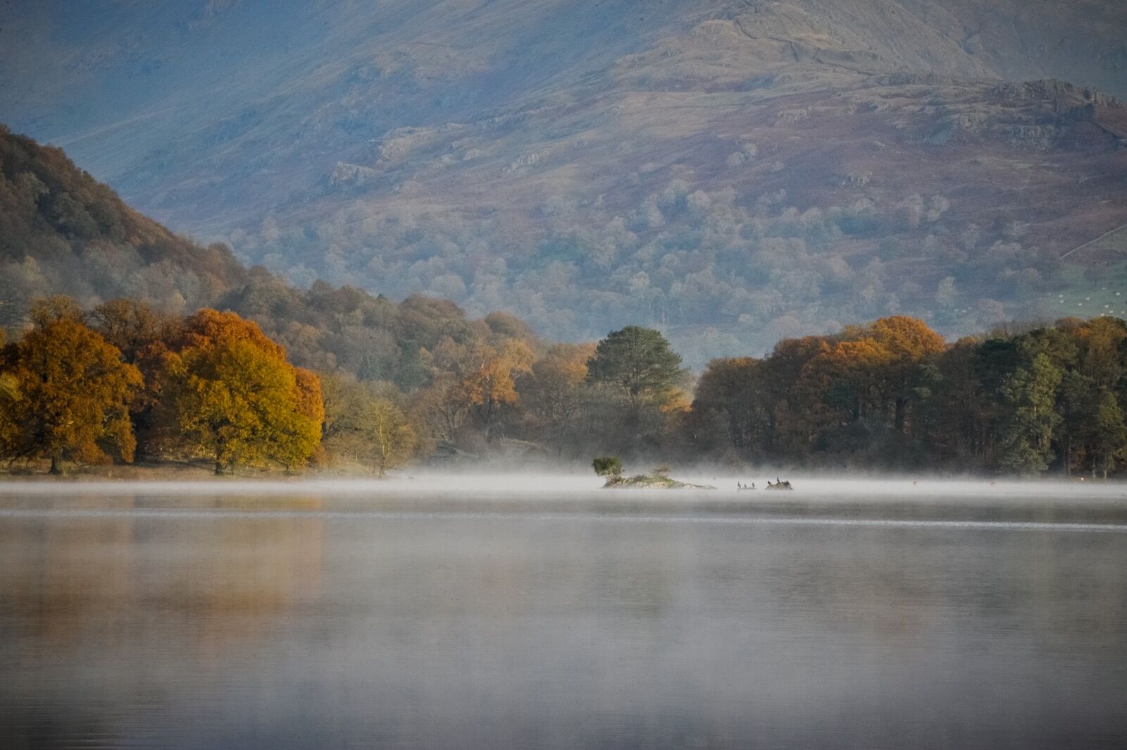 Autumn Reflections