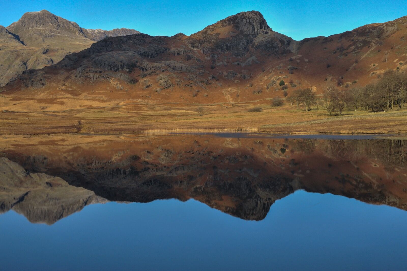 Reflections of Langdale
