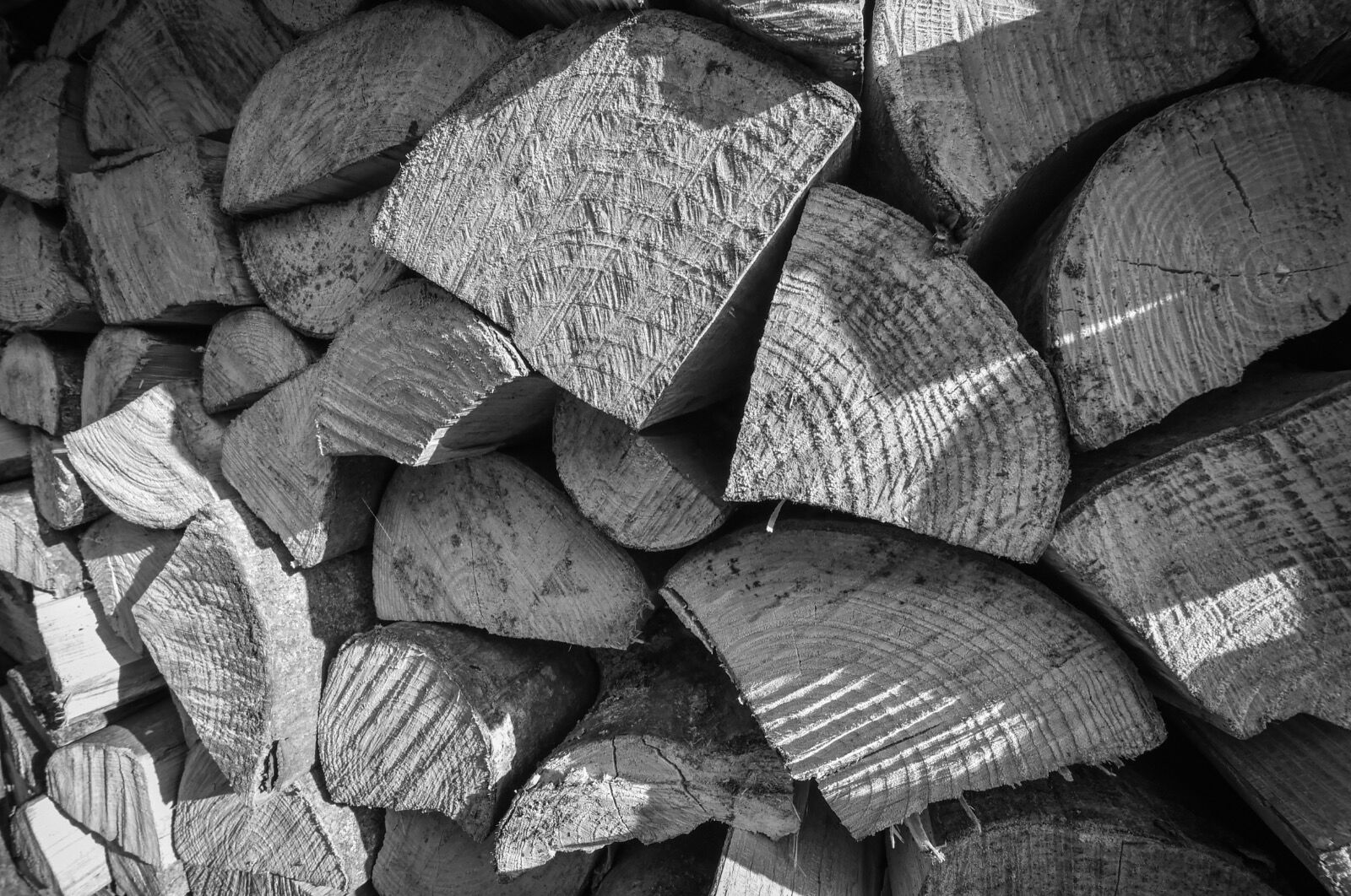 Logs in the logs store