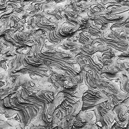 Clay And Sand Sossusvlei