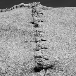 Joshua Tree NP Rock Formation